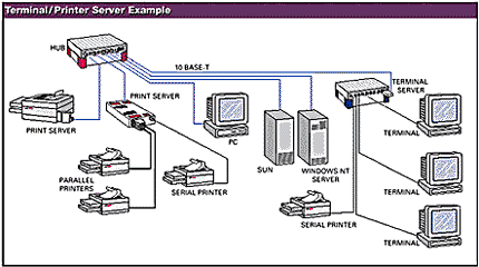 Terminal/Print Server Examples