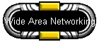 Wide Area Networking