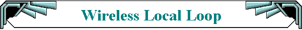 Wireless Local Loop